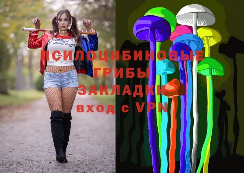 Псилоцибиновые грибы Magic Shrooms  Бокситогорск 